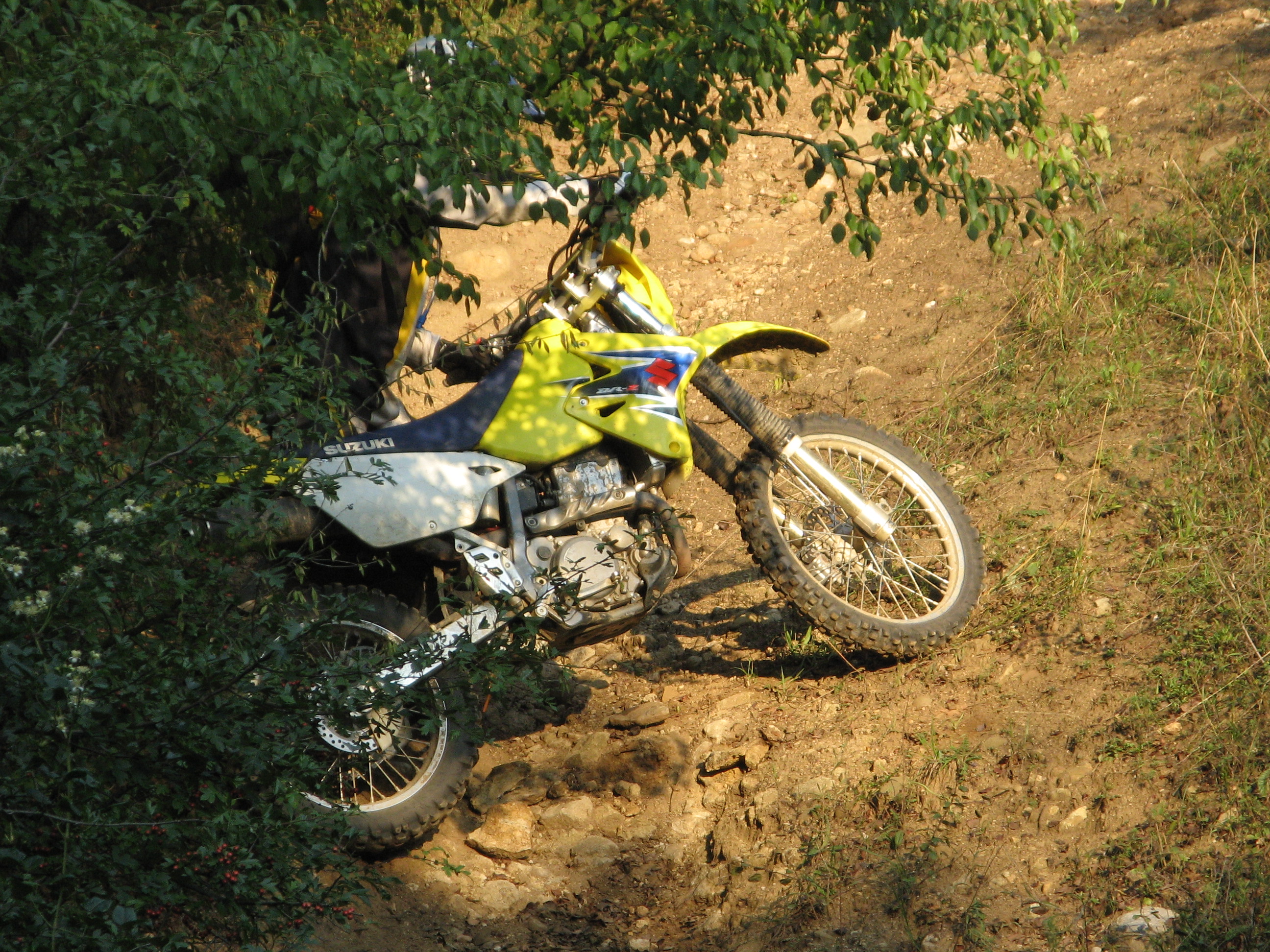 IMG_1328.JPG
