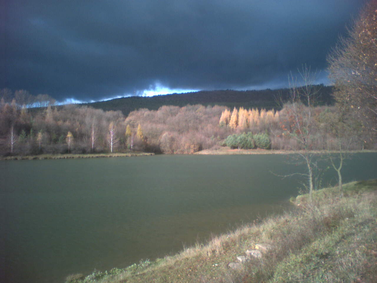 061112_131111.jpg